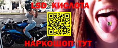 гашик Вышний Волочёк