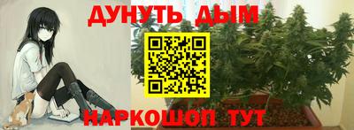 гашик Вышний Волочёк
