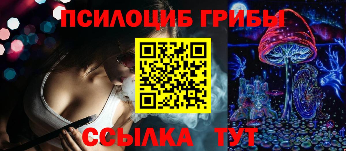 Новочебоксарск  Псилоцибиновые грибы прущие грибы  Вход с VPN 