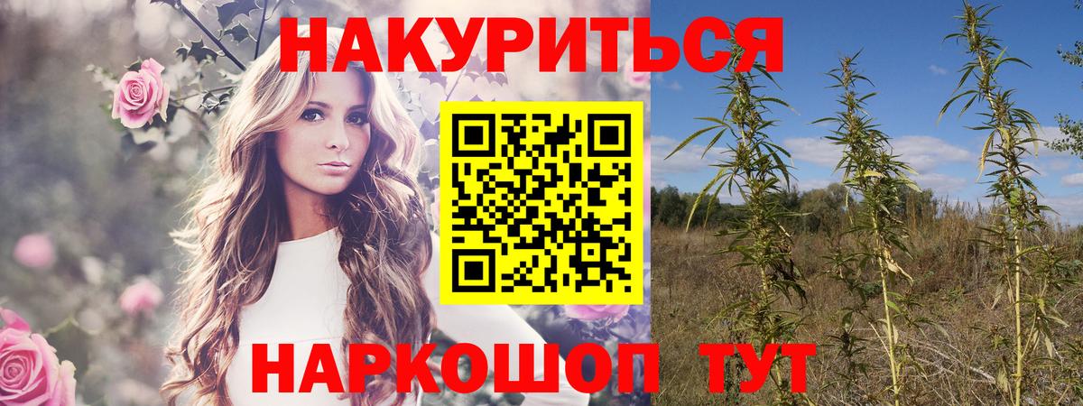 Каннабис семена  Вход с VPN  Бошки Шишки сатива  Новочебоксарск 